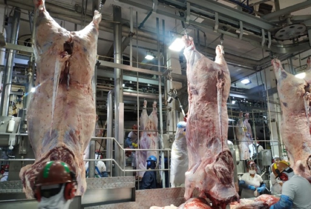 Mato Grosso registra aumento de 43% no abate de bovinos desde 2006