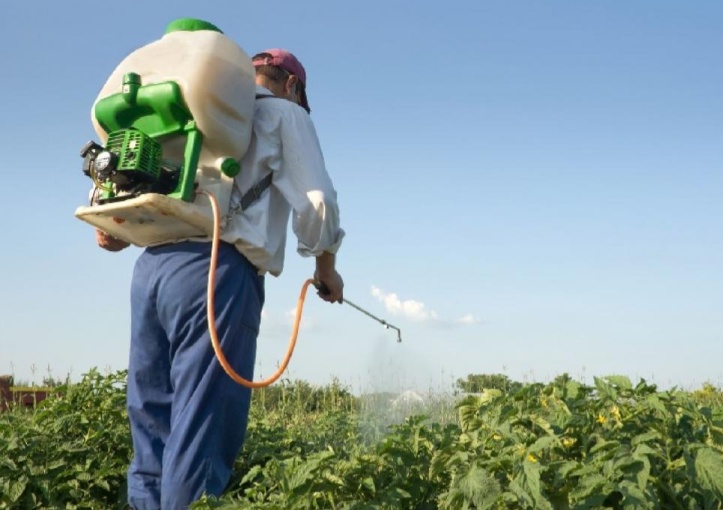 Pequenos agricultores de MT receberam R$ 2,9 bilhões em dois anos