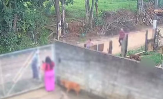 Polícia Civil apura se bebê de 11 meses estava morto antes de ser atacado por pitbull no interior de SP