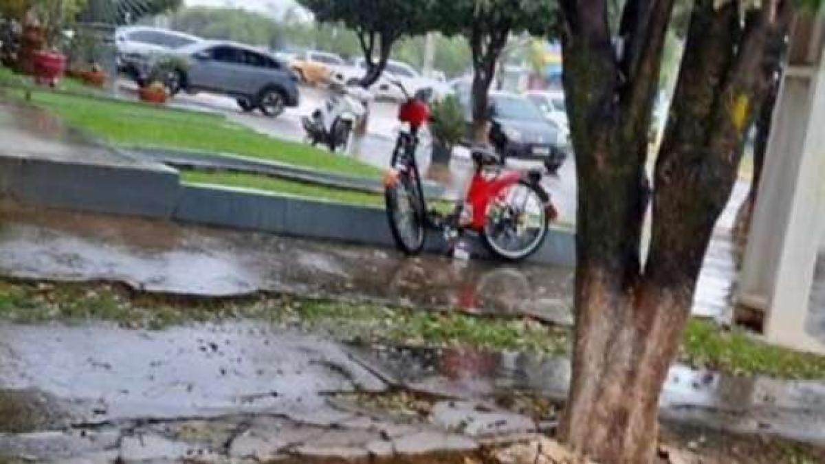 Caminhonete fura preferencial e mata bebê; mãe e crianças estavam em bicicleta