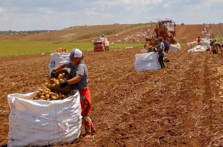 Agronegócio bateu recorde de empregos no terceiro trimestre de 2025
