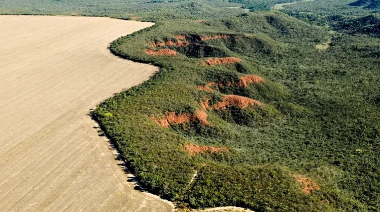 Brasil perdeu 1,4 bilhão de toneladas de carbono do solo para agricultura e pecuária