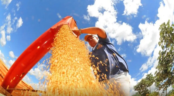 Produção de grãos pode chegar a 353,4 milhões de toneladas
