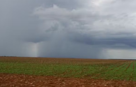 Excesso de chuva atrasa colheita de soja em algumas regiões e gera alerta a produtores de Mato Grosso