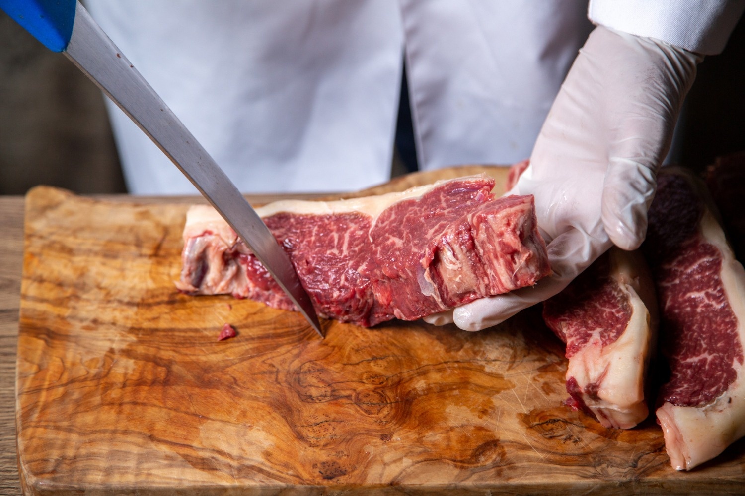 MT bate recorde e tem melhor janeiro da história nas exportações de carne bovina