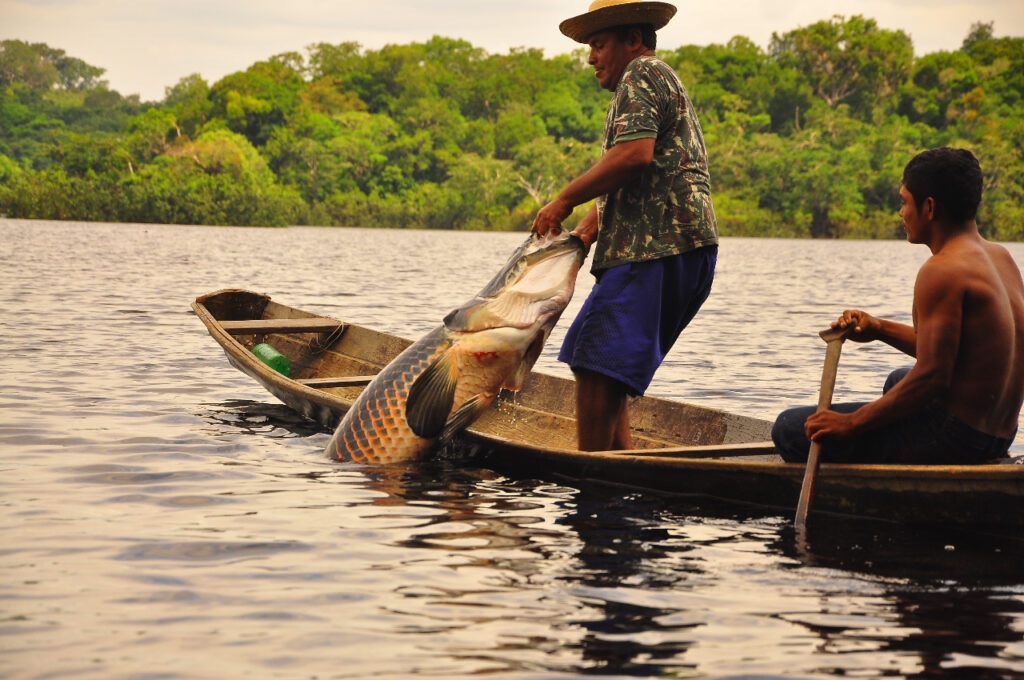 Mais de 400 pescadores do Nortão podem perder suas carteiras