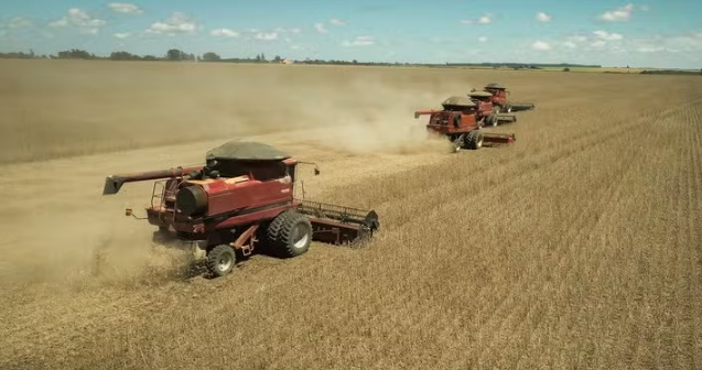 Colheita da soja em MT avança e chega a quase 80% da área plantada
