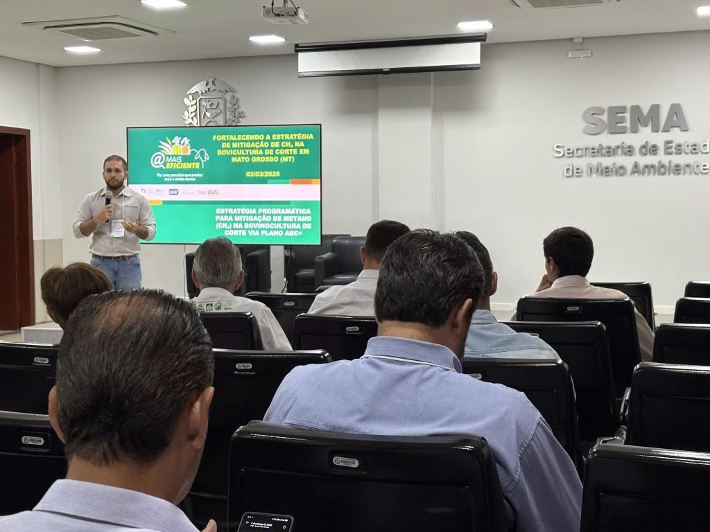 Encontro debate estratégias para reduzir emissões de metano na pecuária