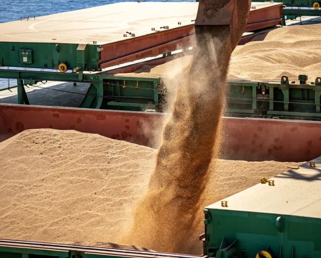 Chuvas reduziram exportação de soja brasileira em fevereiro
