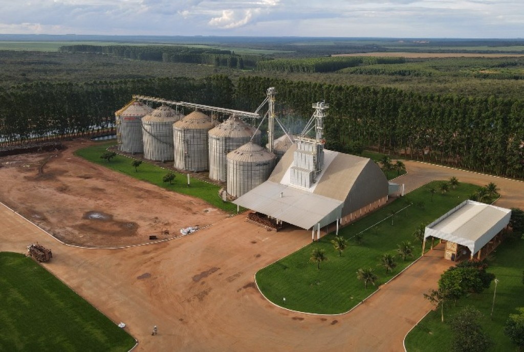Déficit de armazenagem compromete rentabilidade e logística dos produtores de MT