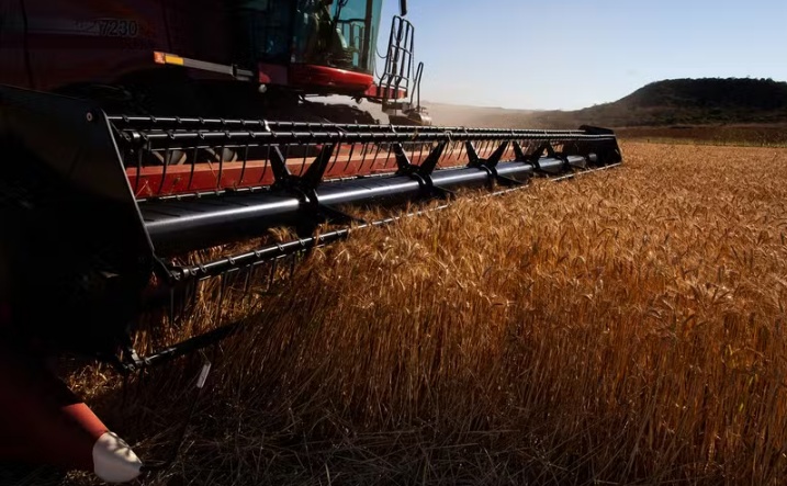 Recuperação judicial no agro em 2025 foi recorde