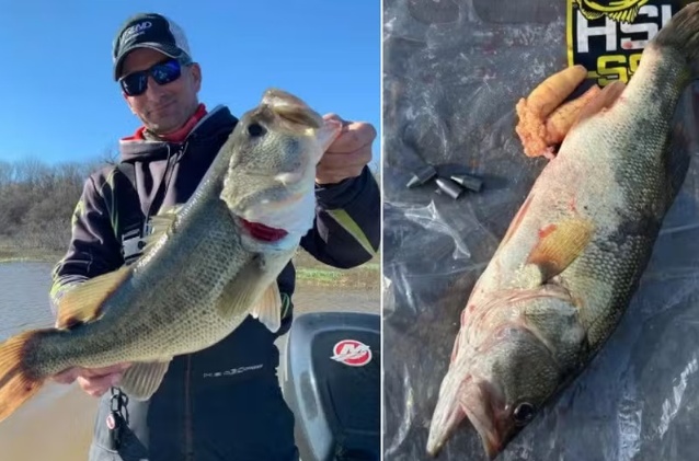 Pescador é preso por inserir pesos em peixe para faturar prêmio de R$ 52 mil