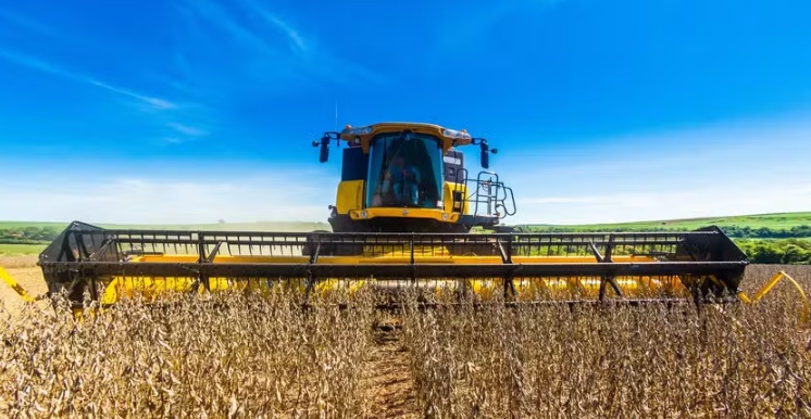 USDA reduz previsão para safra global de soja, mas mantém estimativas para EUA e Brasil