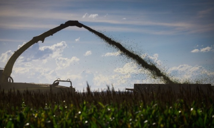 Agronegócio Comercialização da safrinha 2026 no Brasil é de 15,2% e cenário macroeconômico influencia mercado agrícola