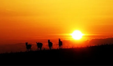 Temperaturas devem continuar elevadas em todo o país no início da semana