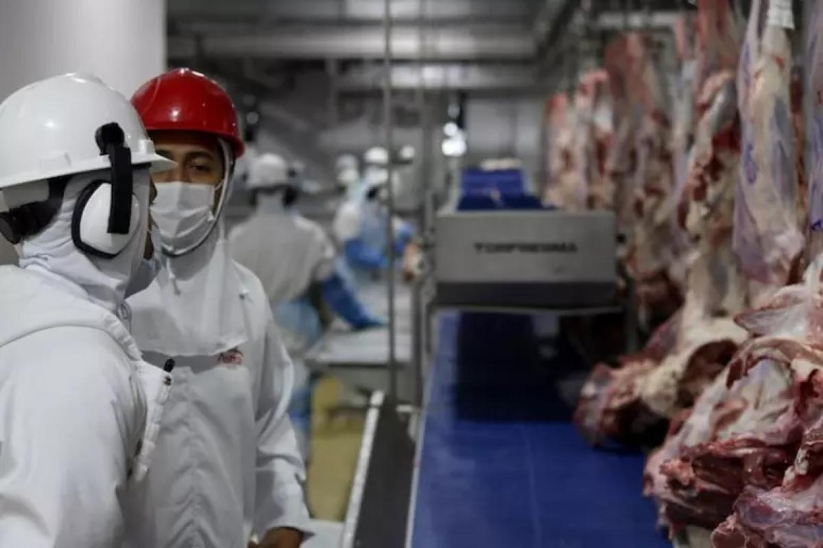 Frigoríficos terão que garantir isenção de 'lavagem de gado' para vender à Europa