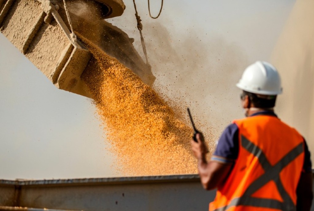 Soja recua no Brasil mesmo com exportações em alta e avanço da colheita
