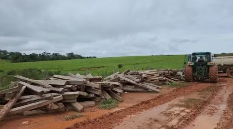 Fazendeiro em MT é multado em R$ 12 mil por estoque ilegal de madeira