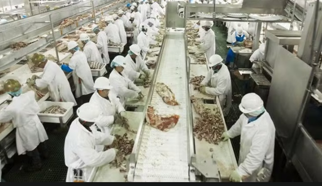 Lucro da JBS cresceu 15% e chegou a US$ 2 bilhões em 2025