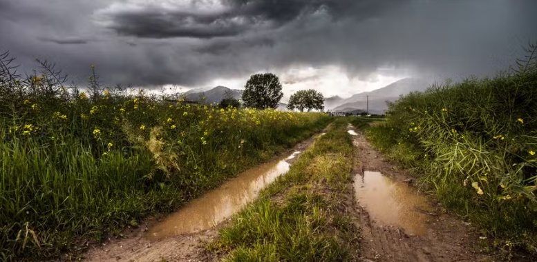 Chance de El Niño entre abril e junho sobe para 84%, diz instituto