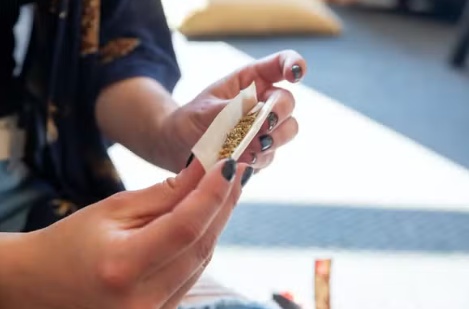 MT tem 3º maior índice de uso de maconha entre estudantes de 13 a 17 anos, diz IBGE