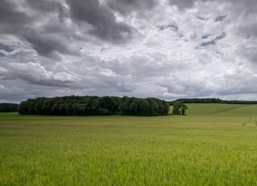 Primeiro de abril deve ter chuva forte em todo o país; veja previsão para quarta-feira