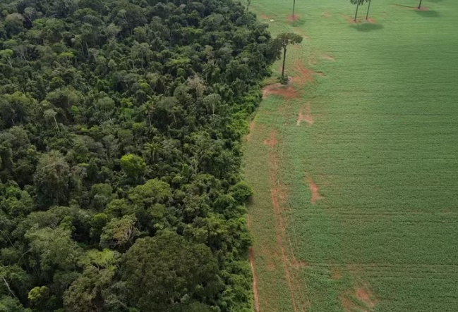 Banco do Brasil diz que nova regra ambiental para crédito rural reduz riscos