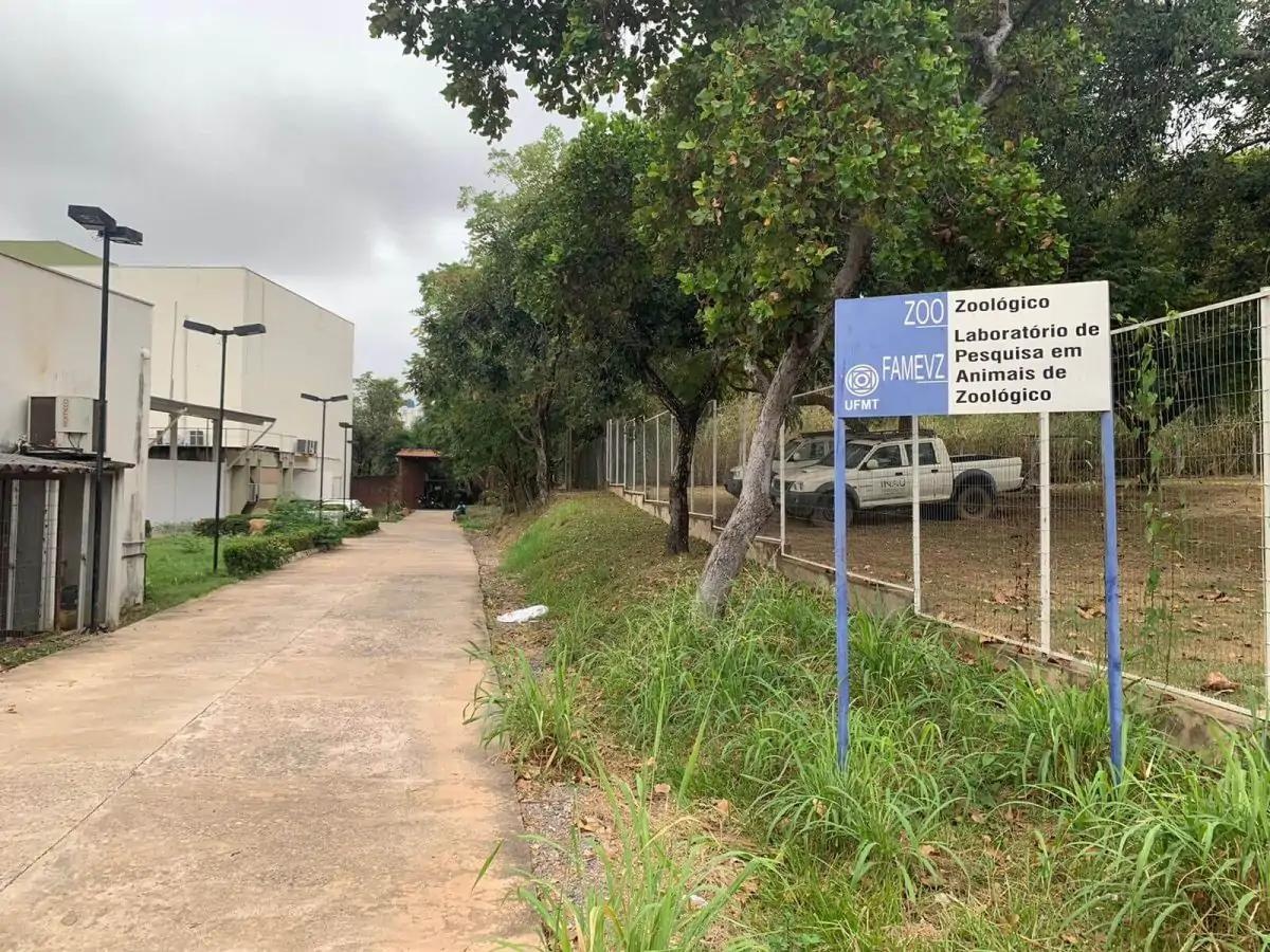 Cuiabá é a única capital do Brasil que não tem zoológico