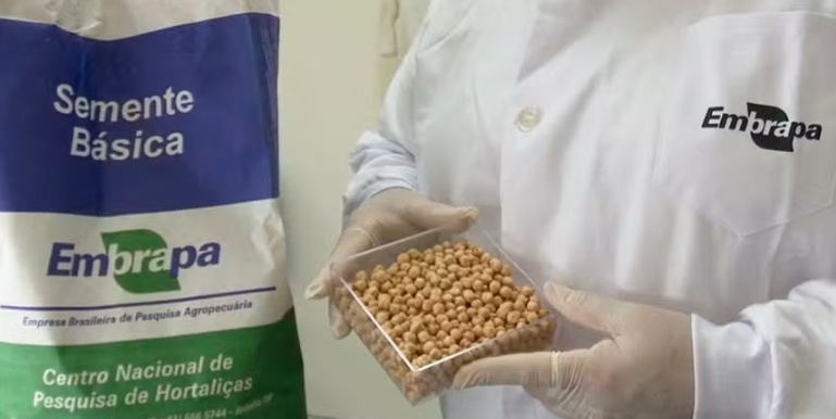 Artemis II: como o agro conecta o Brasil às missões espaciais da Nasa