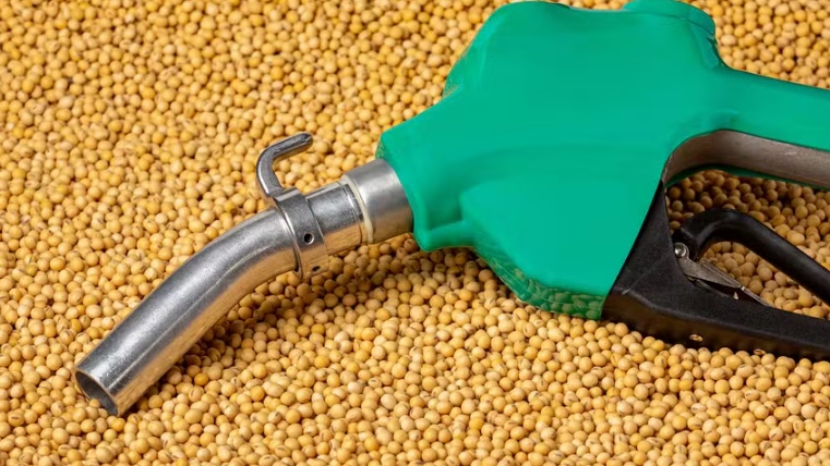 Uso de biodiesel deve trazer aumento de 72% na demanda por soja