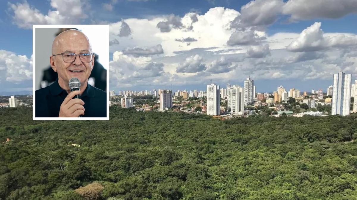 Governo precisará criar plano de arborização em 6 meses para evitar sanções judiciais