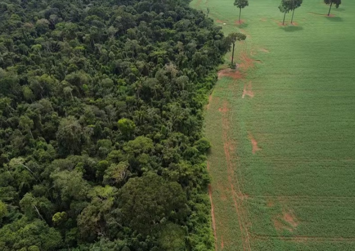 CNA contesta exigência de dados de desmatamento para concessão de crédito rural