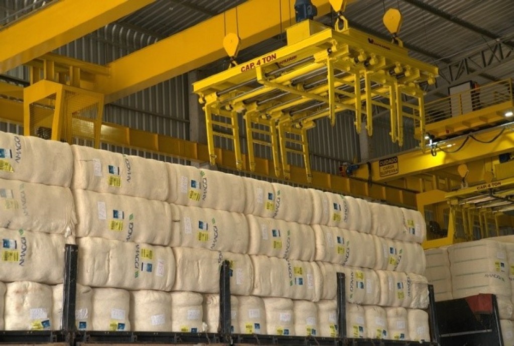 Agronegócio Exportações de algodão de Mato Grosso batem recorde em março e ganham força no acumulado da safra