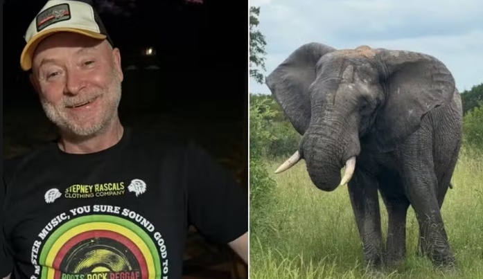 Dono de parque que dizia preferir ser morto por elefante a atirar em um morre exatamente pisoteado por elefante