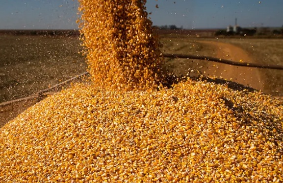 Preços ao produtor agropecuário caíram quase 10% no primeiro trimestre