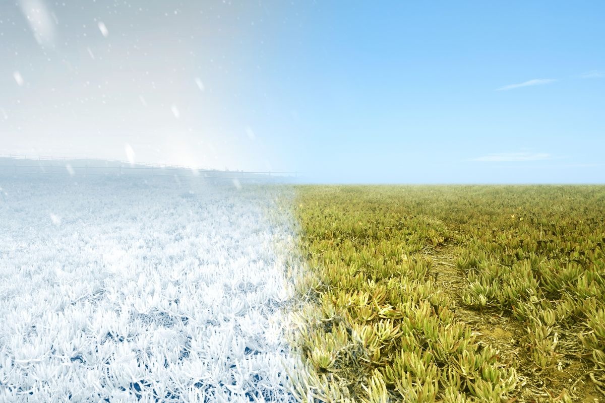 Temperatura em Sinop: clima, médias e como é o tempo na cidade