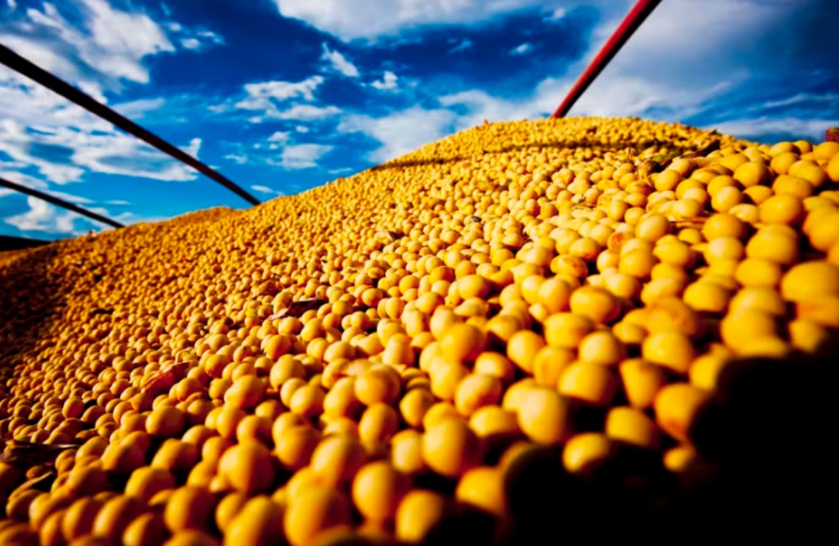 PIB do agronegócio brasileiro cresceu 12,20% em 2025