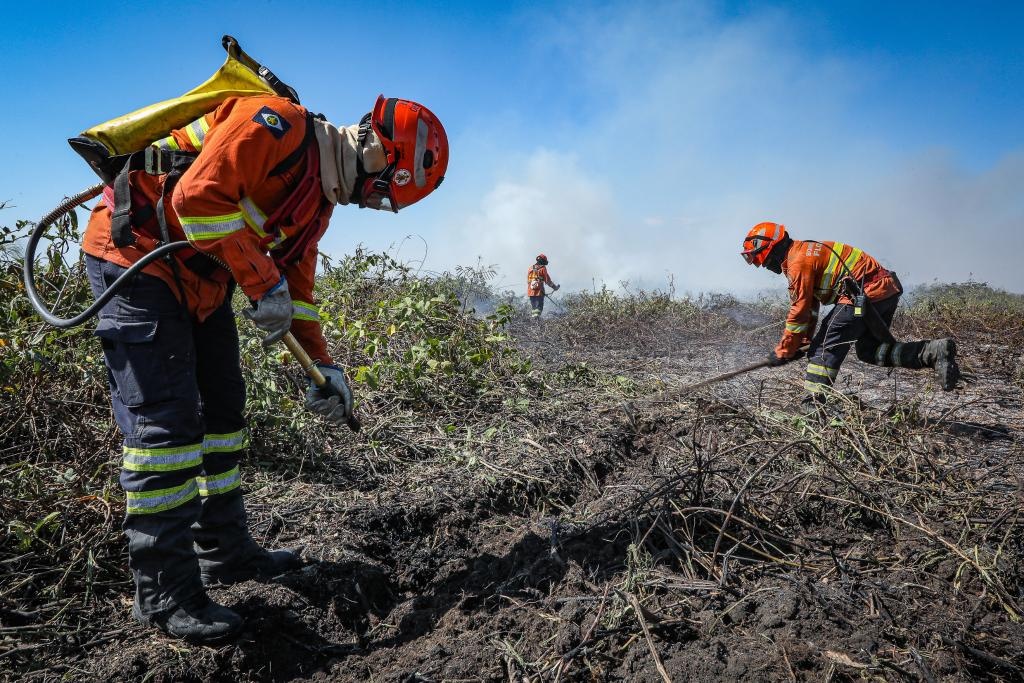 Governo de Mato Grosso publica decreto que estabelece período proibitivo de uso do fogo