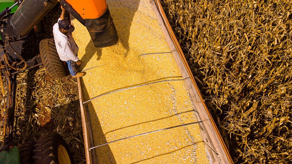 Mato Grosso lidera produção agropecuária do país com projeção de R$ 206 bilhões em 2026