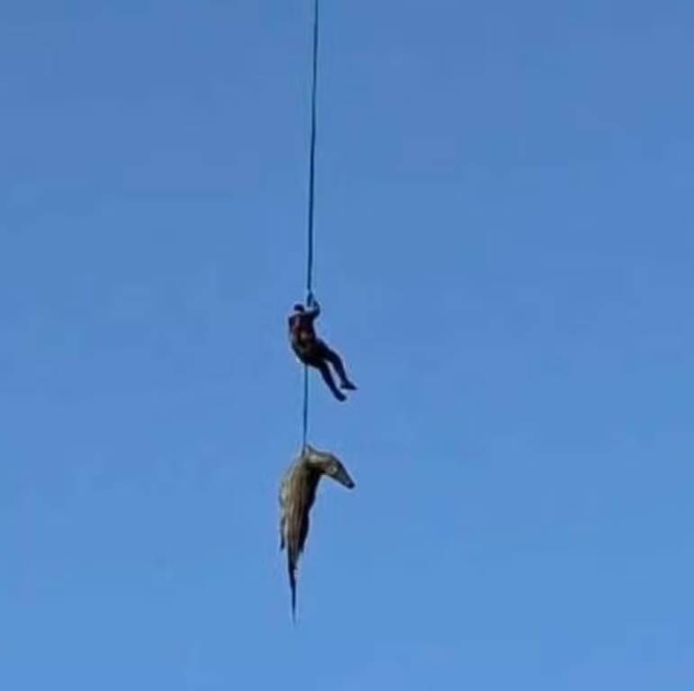 Policial é içado de helicóptero para resgatar empresário encontrado dentro de crocodilo em rio na África do Sul