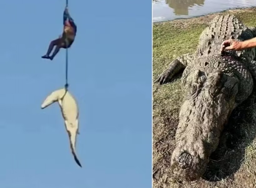 Como a polícia identificou o crocodilo que devorou empresário na África do Sul