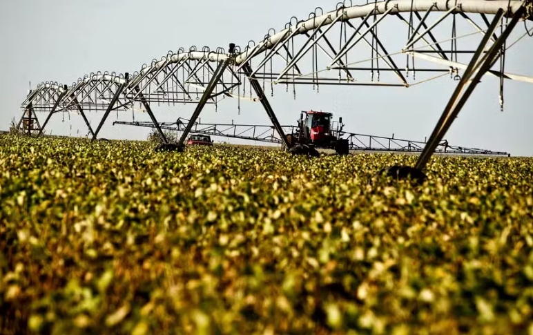 El Niño pode fazer safra de soja cair 5% em Mato Grosso