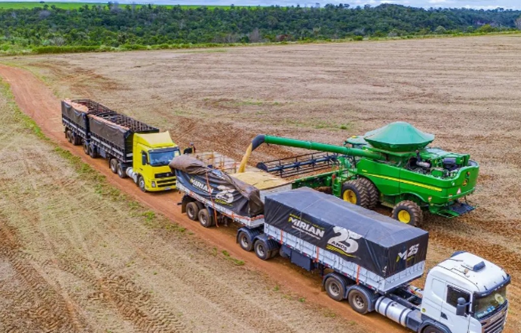 Mato Grosso lidera agronegócio brasileiro com produção de R$ 206 bilhões e concentra 15% do VBP nacional