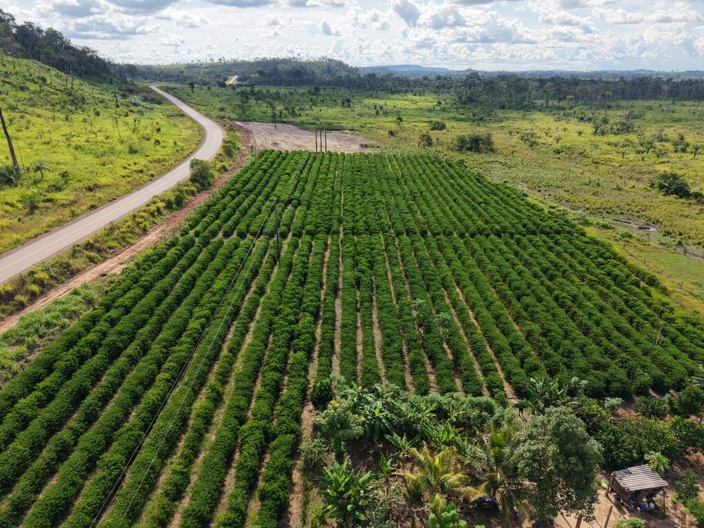 Governo publica edital de R$ 76,7 milhões para fortalecer pequenos produtores em MT