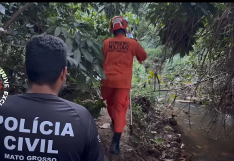 Forças de segurança são mobilizadas para suposto corpo de criança e descobrem ser macaco em Sinop