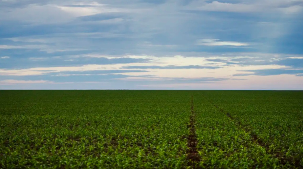 Fazenda estuda Fundo Garantidor para dívidas rurais
