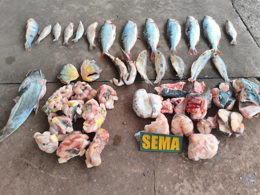 Sema e PM apreendem peixe irregular no Rio Cuiabá