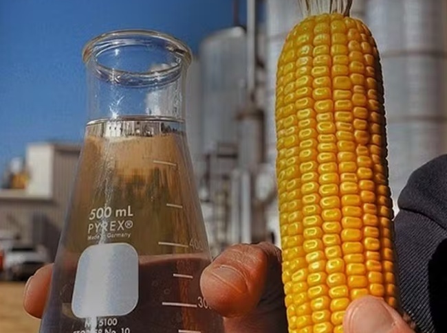 Mato Grosso deve ampliar produção de etanol em 16% na safra 2026/27