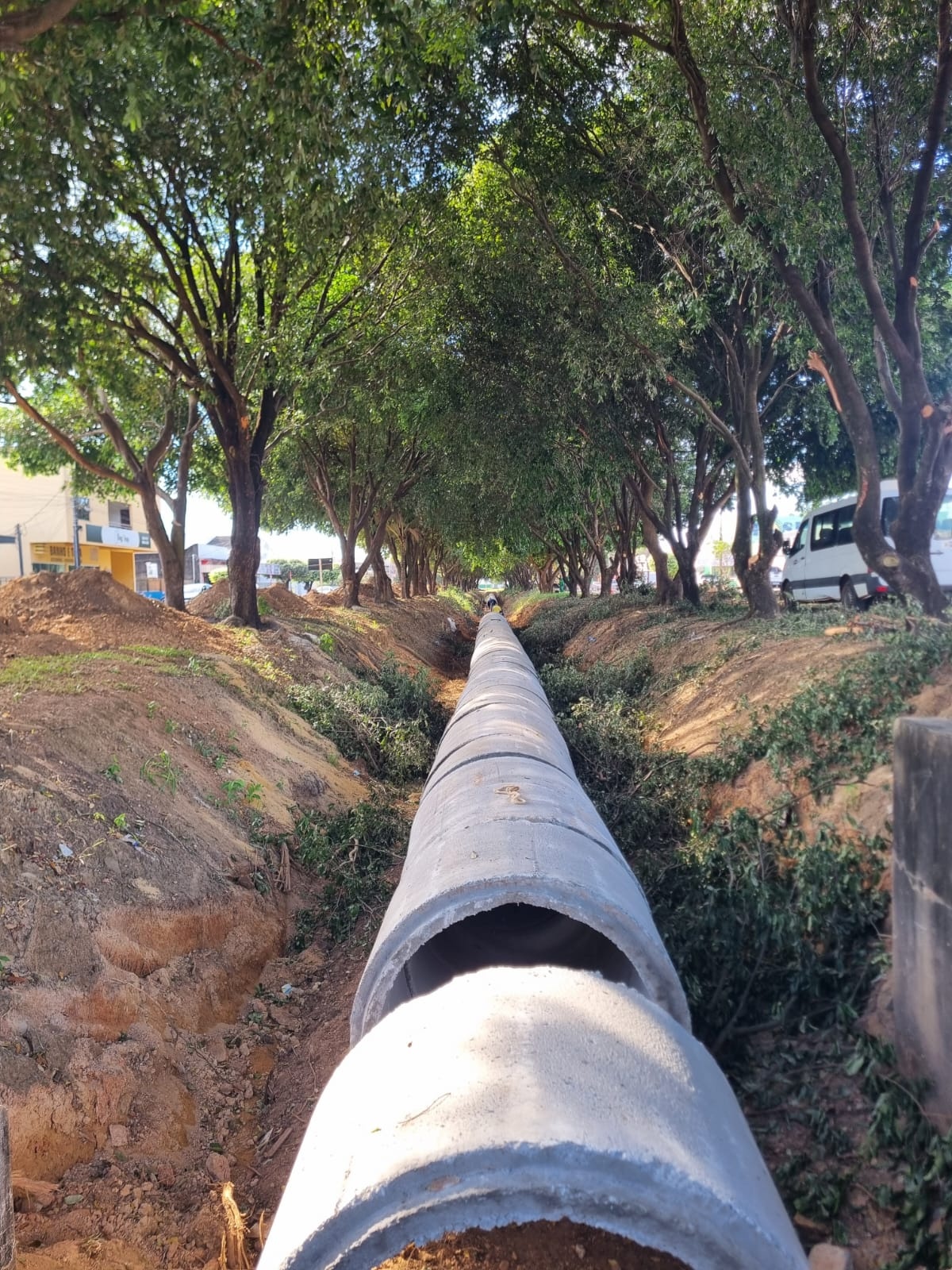 Foto flagrante - O cimento contorna o verde