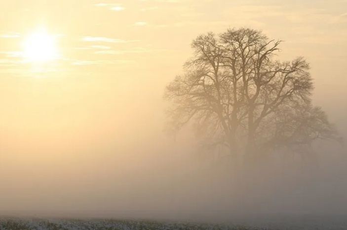 Frio e El Niño: saiba como será o clima em junho no Brasil